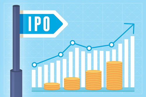 CHM八面玲珑引领IPO芝麻开花，网络与信息安全软件开发前景广阔