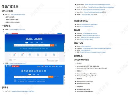 2024年网络安全工程师技能手册 从入门到实战的全方位指南